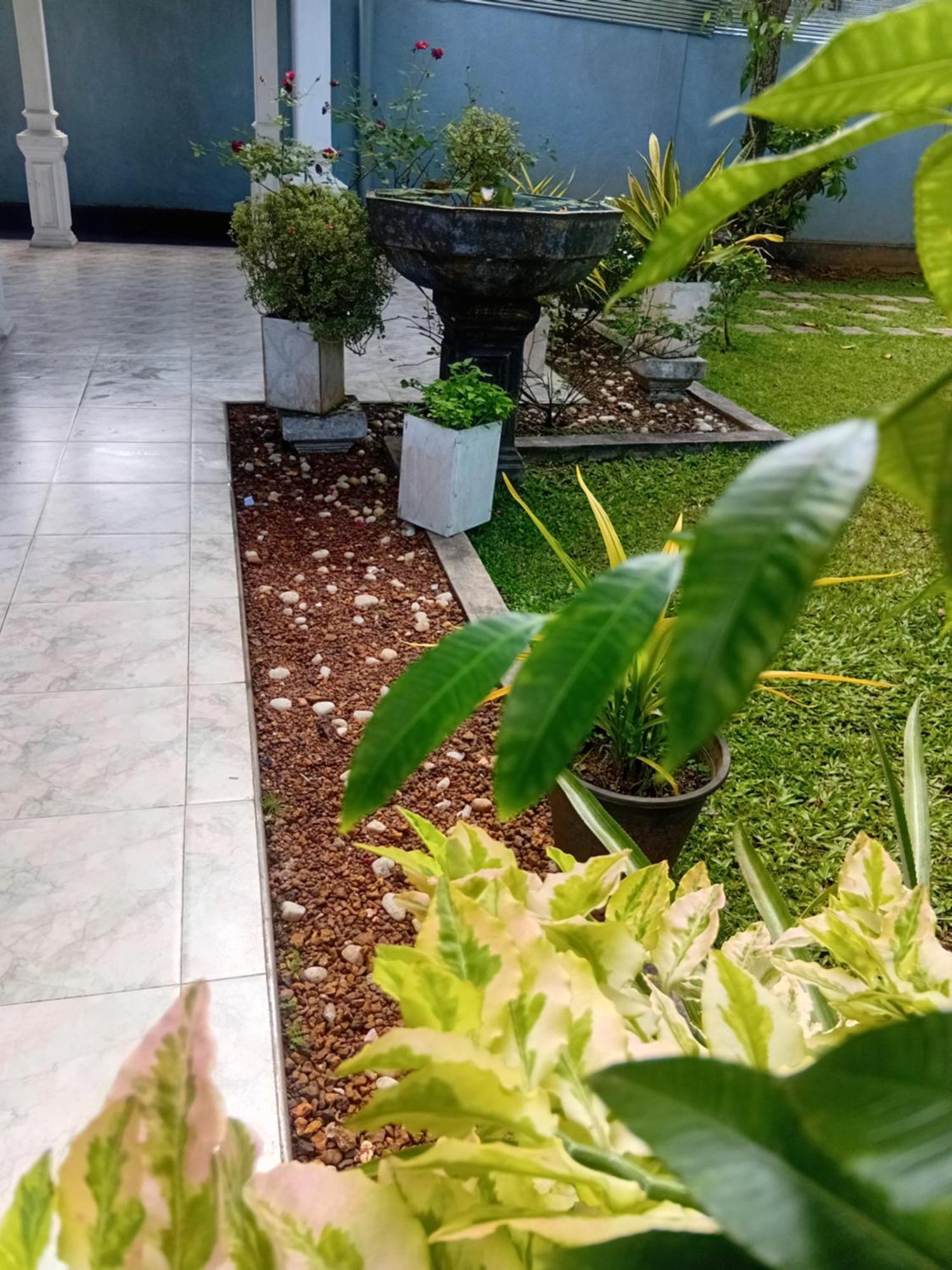 Fourcoock Villa Kosgoda Exterior foto